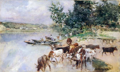 Abreuvement du bétail sur la Seine