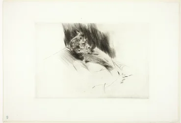 Whistler endormi