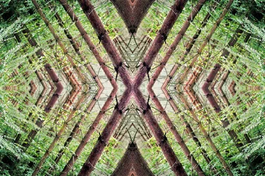 Non naturel 37