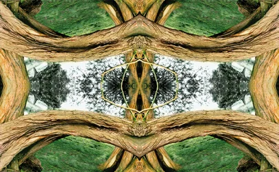 Non naturel 37
