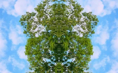 Non naturel 46