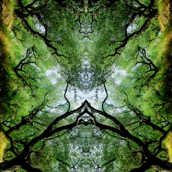 Unnatural 75