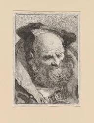 Vieil homme barbu, de la Raccolta di Teste (collection de têtes)