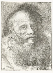 Homme avec barbe et coiffe à plume