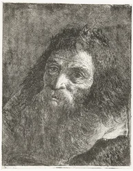 Homme aux cheveux longs et à la barbe