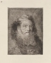 Vieil homme à tête nue, de la Raccolta di Teste (Collection de têtes)