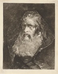 Vieil homme à tête nue, de la Raccolta di Teste (Collection de têtes)