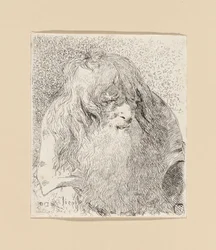 Vieil homme à la barbe et aux longs cheveux, de la Raccolta di Teste (Collection de têtes)