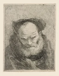 Vieil homme barbu, de la Raccolta di Teste (Collection de têtes)