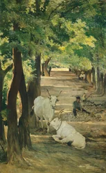 Avenue avec bœufs et casseur de pierres