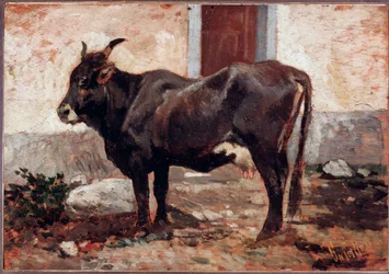 Vache brune