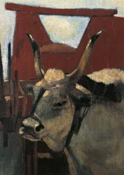 Italie, Florence, Maremma Toscane, vers 1894 (détail)