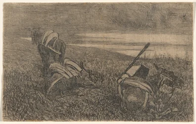 Petits ânes au repos