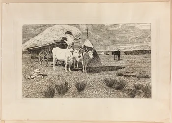 Bœufs et chariot (Maremma)