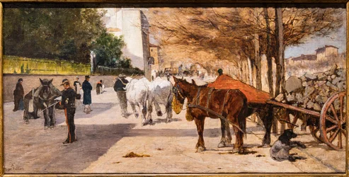 Avenue du Prince Amédée à Florence