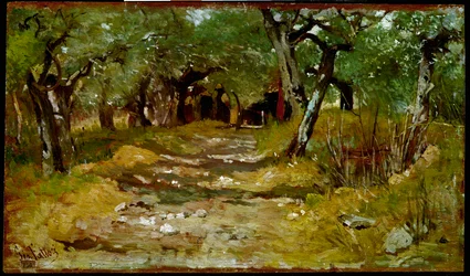 Le chemin entre les oliviers. Peinture de Giovanni Fattori (1825-1908)