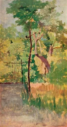 Arbre et chemin forestier, XIXe siècle