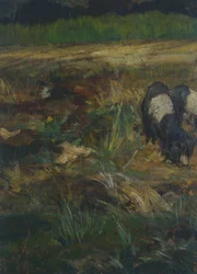 Maremme toscane (détail)