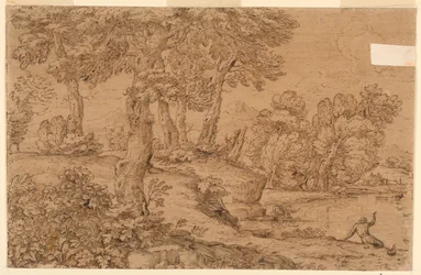 Paysage boisé avec un étang