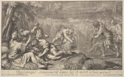 Moissonneurs de grain, 1704