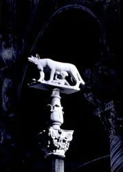 La louve siennoise, avec les jumeaux Romulus et Remus, façade de la Piazza del Duomo