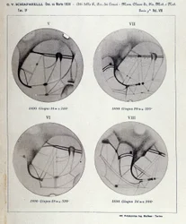 Observations par Giovanni Virginio Schiaparelli (1835-1910) astrophysicien. Il a observé des configurations rectilignes sur la planète Mars, les appelant les canaux martiens (canali). 1890