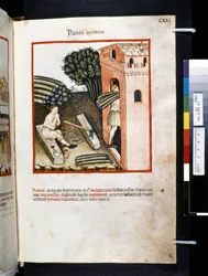Theatrum sanitatis par Ububchasym de Baldach: 