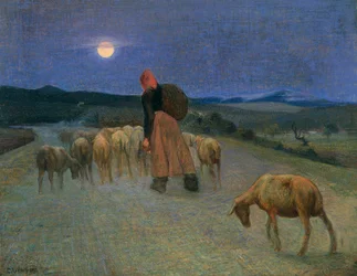 Retour au bercail
