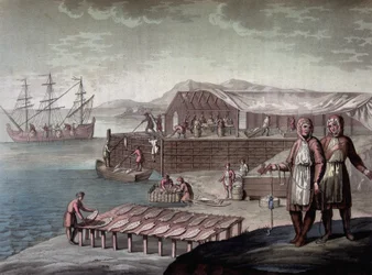 Pêche à la morue par les habitants de Terre-Neuve - dans "Le costume ancien et moderne" de Ferrario, éd. Milan