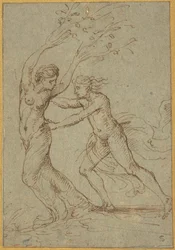 Apollon et Daphné (plume et encre brune sur papier vergé vert-bleu)
