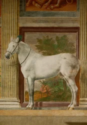 La salle des chevaux avec les peintures murales des chevaux préférés de Federico II Gonzaga (fresque)