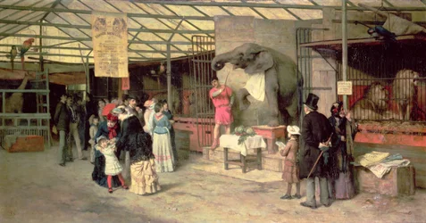 Au zoo