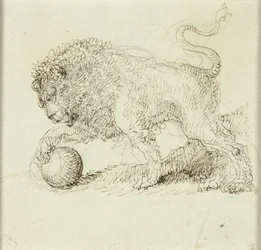Lion avec balle