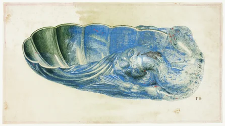 Coquille bleue et verte avec tête de dragon