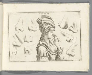 Odorat