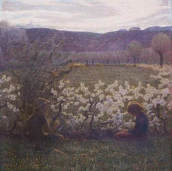Prato fiorito