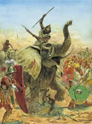 Deuxième guerre punique : la bataille de Zama (202 av. J.-C.) les éléphants carthaginois