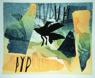 Corbeau picte