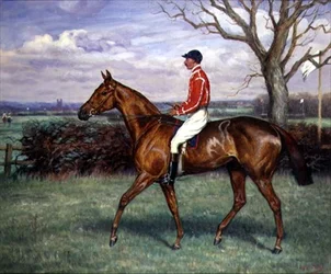 Un Steeple Chaser avec Jockey