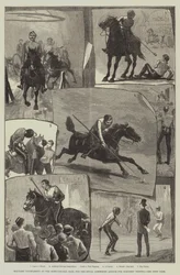 Tournoi militaire au Agricultural Hall pour l