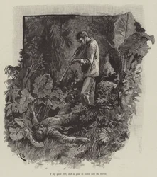 Uma, ou la plage de Falesa, par Robert Louis Stevenson