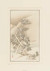 Gravure sur bois - Arbres dans la neige
