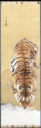 Tigre
