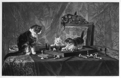 Chats jouant avec un échiquier