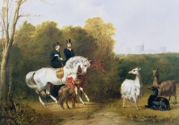 La reine Victoria et le prince Albert regardant les lamas dans le parc de la maison, Windsor