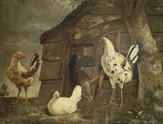 Volaille (huile sur toile)