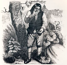 Le gland et la citrouille - Fables de La Fontaine