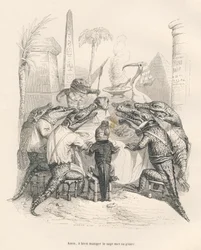 Crocodiles autour d
