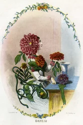 Illustration pour 