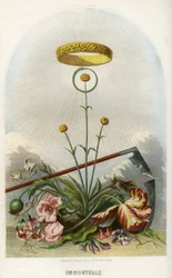 Illustration pour 